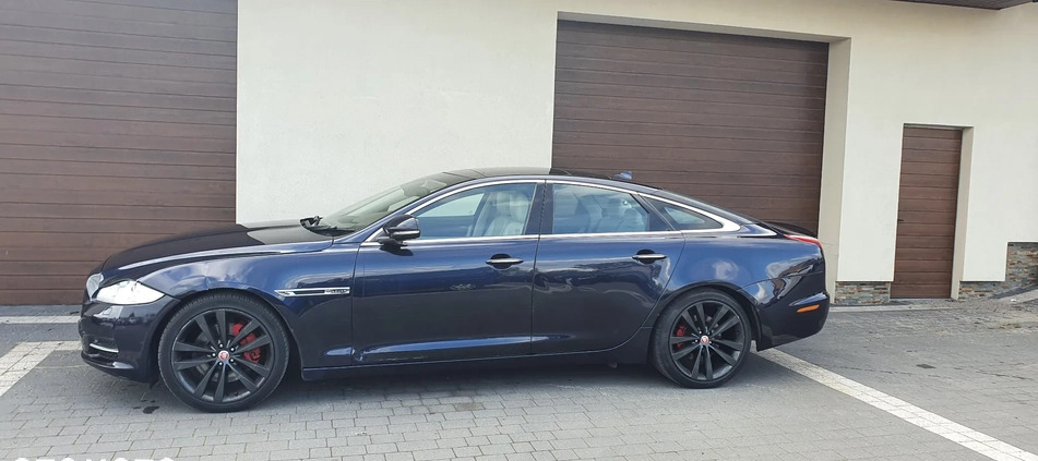 Jaguar XJ cena 40500 przebieg: 182000, rok produkcji 2014 z Kościan małe 379